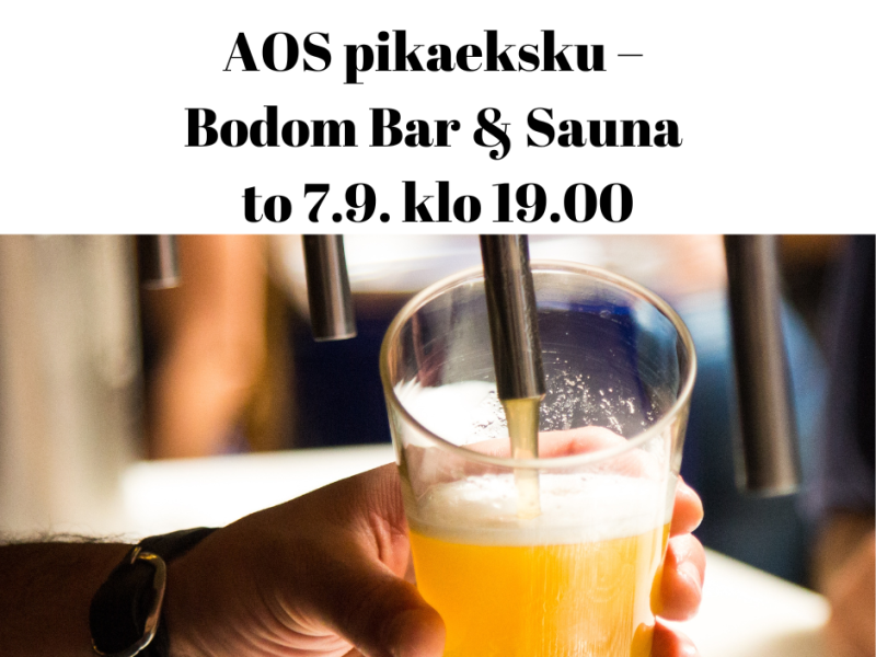 Eksku: Bodom Bar & Sauna to 7.9. klo 19
